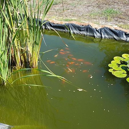 Agriturismo La Barca In Secca Olmedo Zewnętrze zdjęcie
