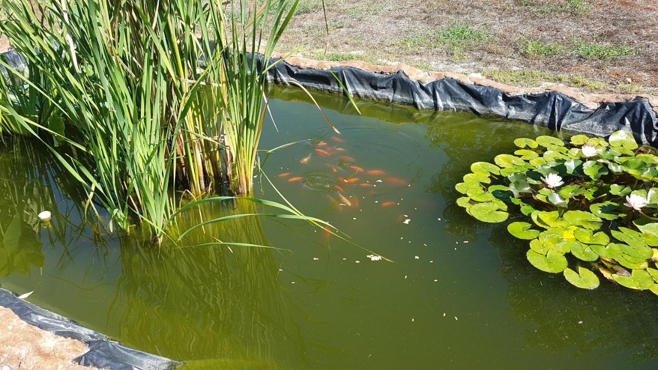 Agriturismo La Barca In Secca Olmedo Zewnętrze zdjęcie