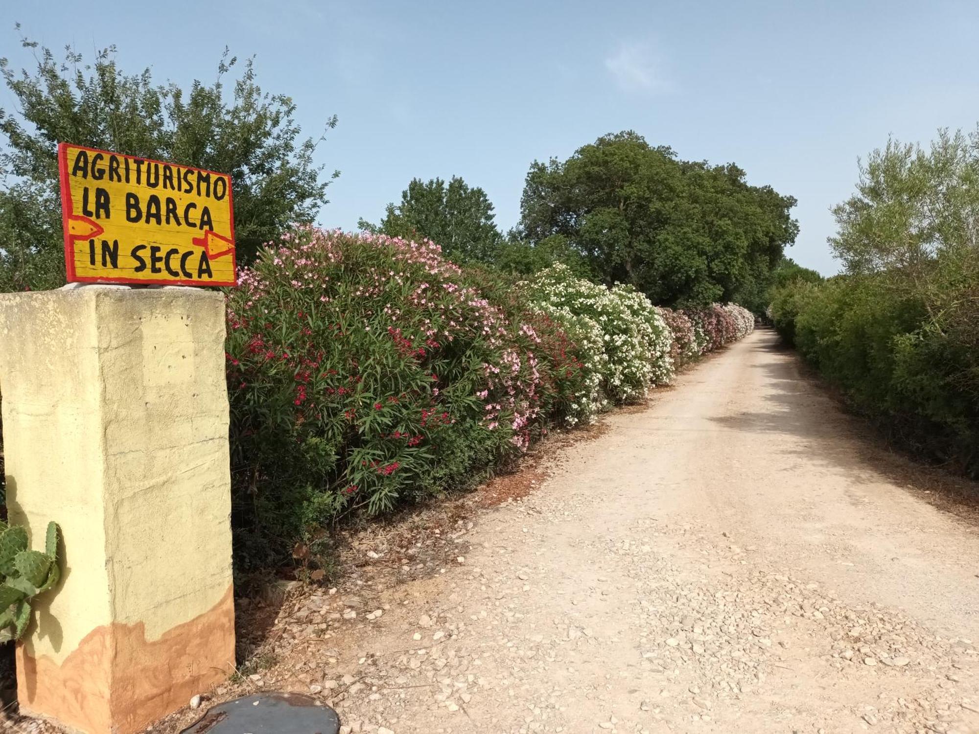 Agriturismo La Barca In Secca Olmedo Zewnętrze zdjęcie